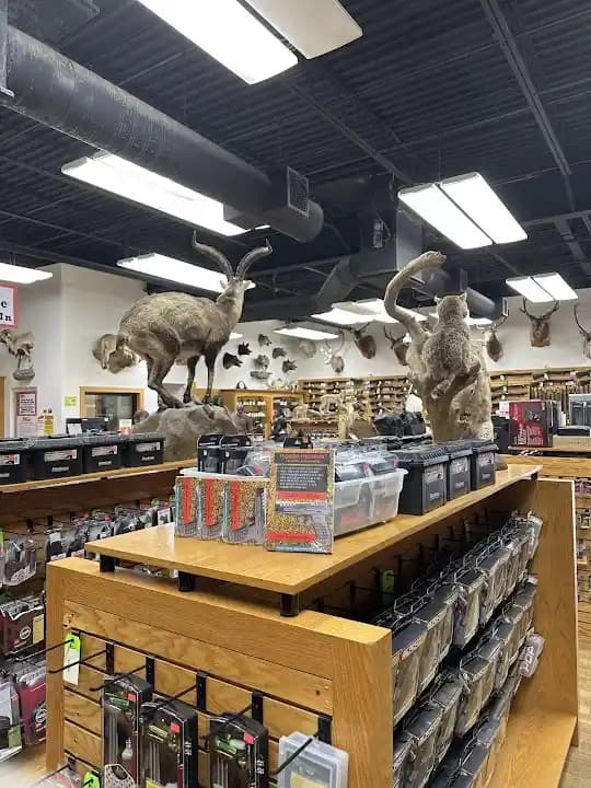 shooting ranges experience at Shoot Straight Casselberry located in Orlando