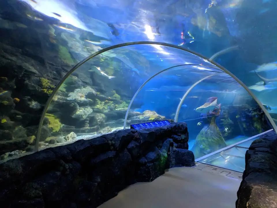 vr games experience at National SEA LIFE Centre Birmingham located in Birmingham