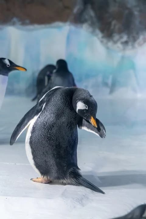 National SEA LIFE Centre Birmingham - vr games in Birmingham