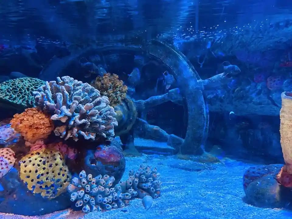 Photo of National SEA LIFE Centre Birmingham vr games activities in Birmingham