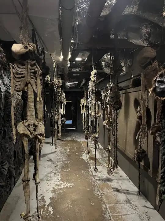 Interior view of Secret City @ Casa Loma escape rooms facility in Toronto