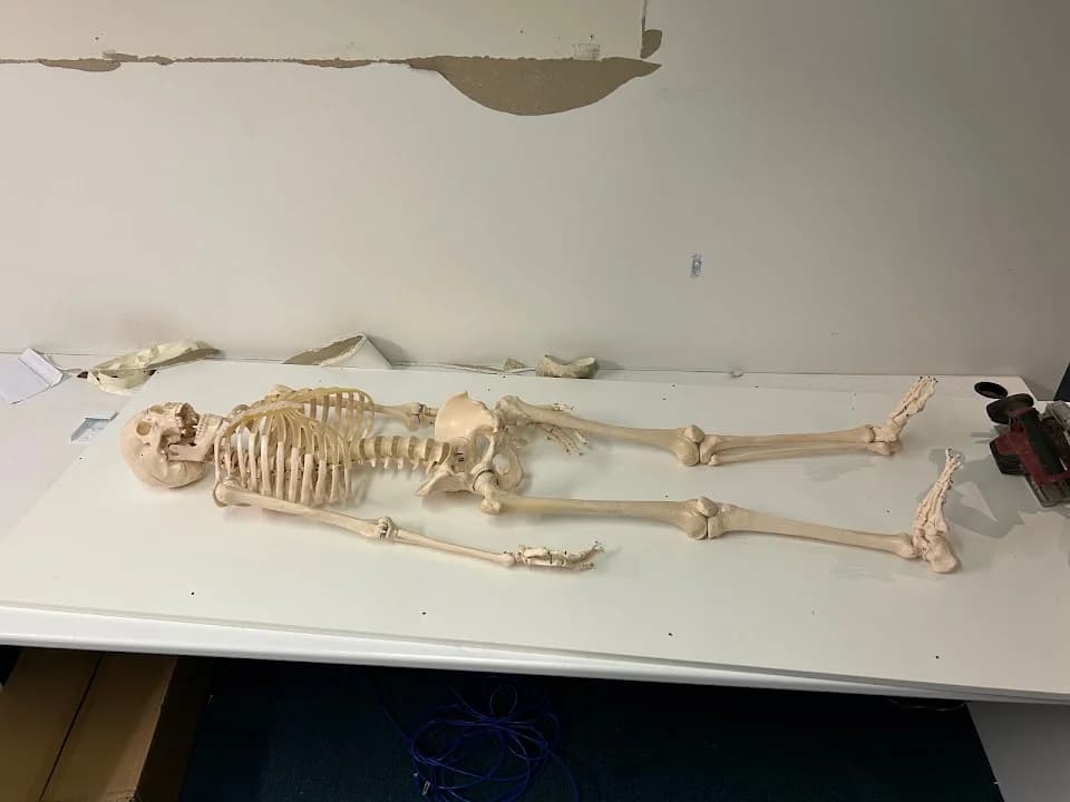 Interior view of Time Is Key Escape Rooms : Escape The Ordinary escape rooms facility in Melbourne