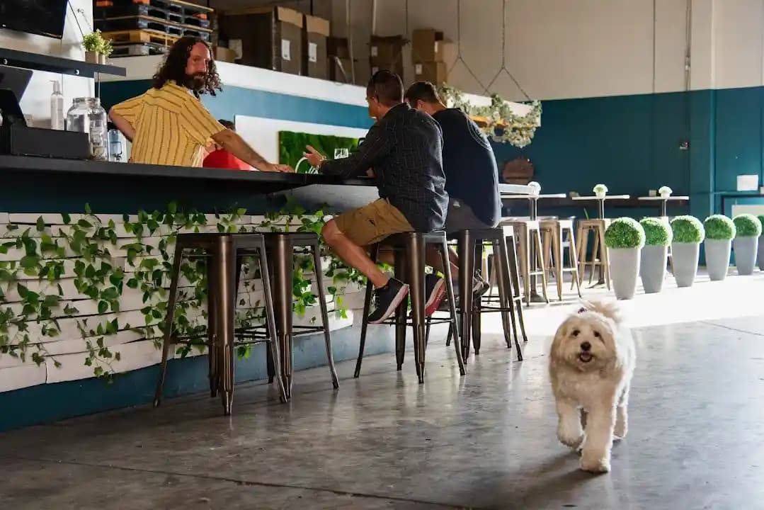 axe throwing experience at Hatchet Hound Axe Throwing located in San Diego