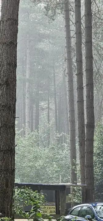 Interior view of The Paintball Jungle paintball facility in Leeds