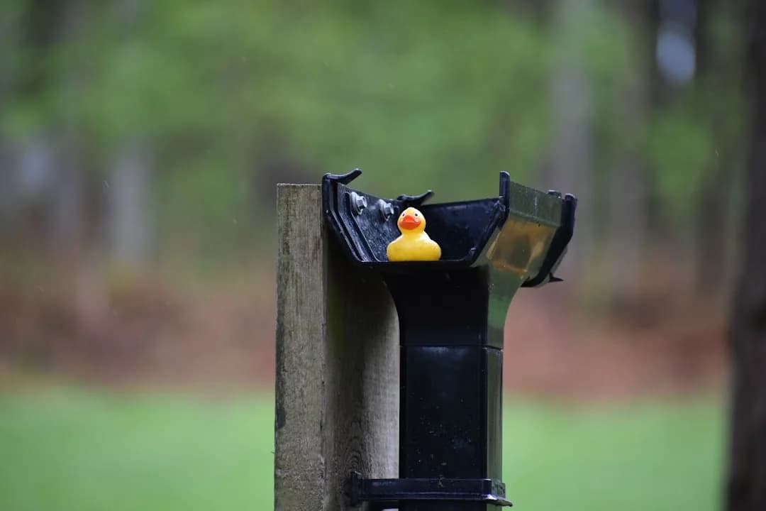 The Paintball Jungle - paintball in Leeds - Top rated