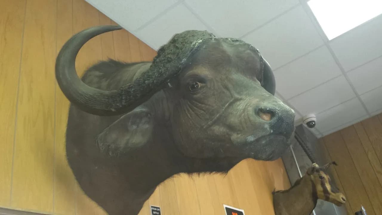 shooting ranges experience at Metropolitan Rod & Gun Club located in New York