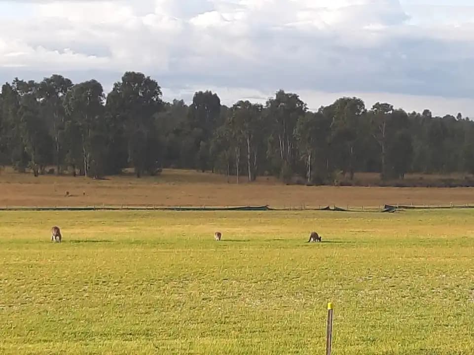 Photo of Sydney International Shooting Centre shooting ranges activities in Sydney