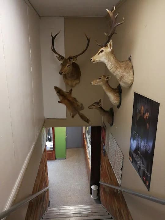 Condell Park Indoor Firearms Range - Popular shooting ranges destination in Sydney