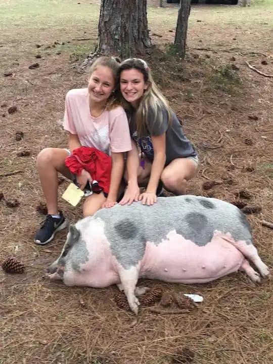 Tampa Bay Sporting Clays - Popular shooting ranges destination in Tampa