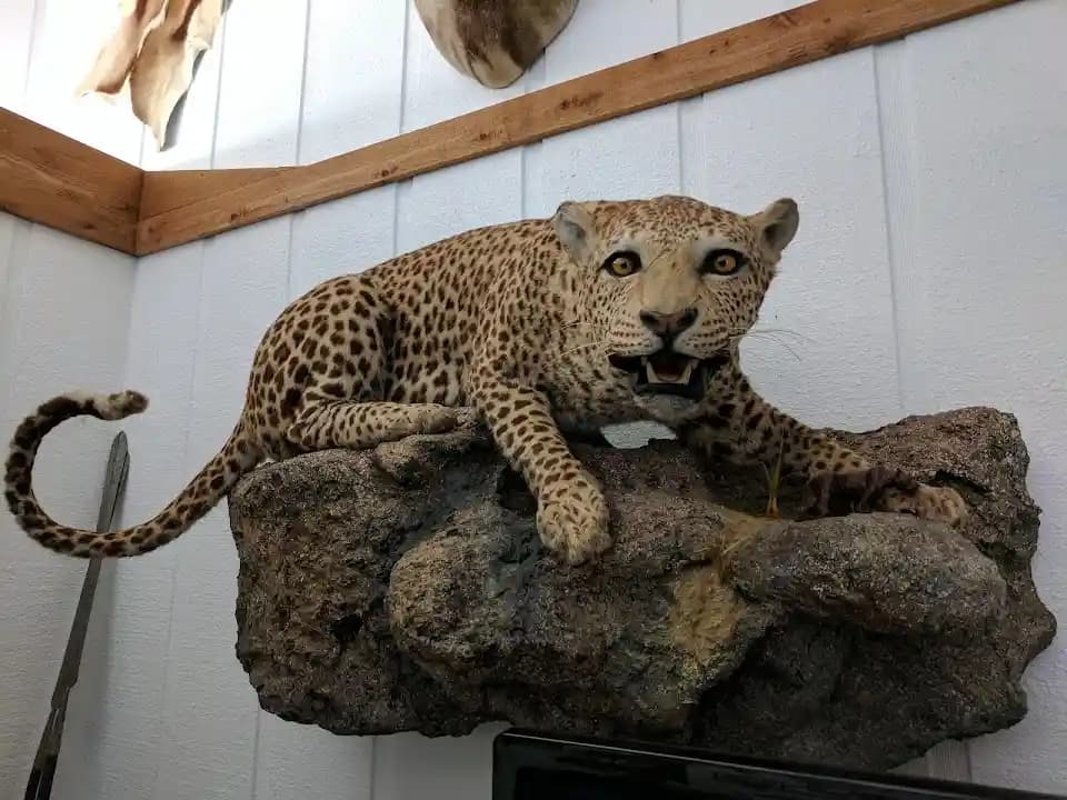 Interior view of Gun Craft Inc shooting ranges facility in Tampa