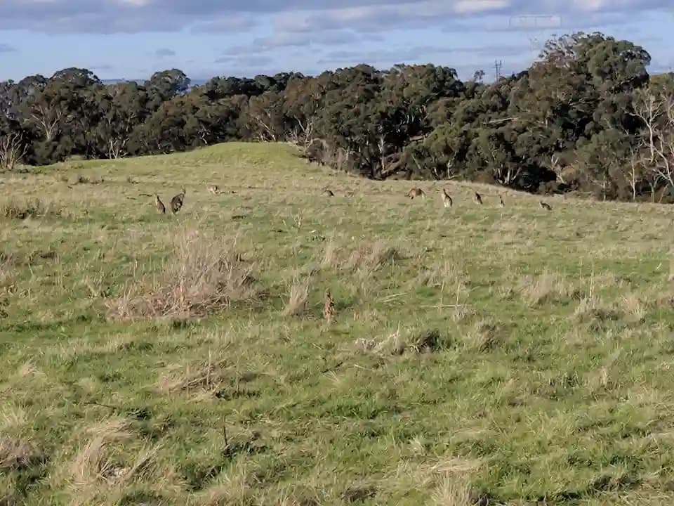 Diamond Valley Pistol Club - Popular shooting ranges destination in Melbourne