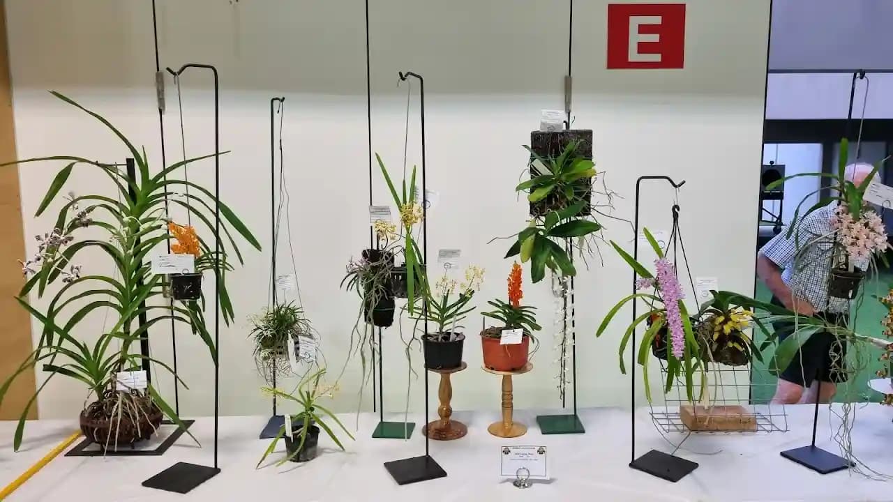 shooting ranges experience at Brisbane International Shooting Centre located in Brisbane