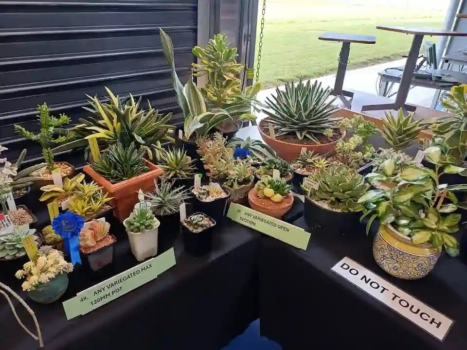 Brisbane International Shooting Centre - Popular shooting ranges destination in Brisbane