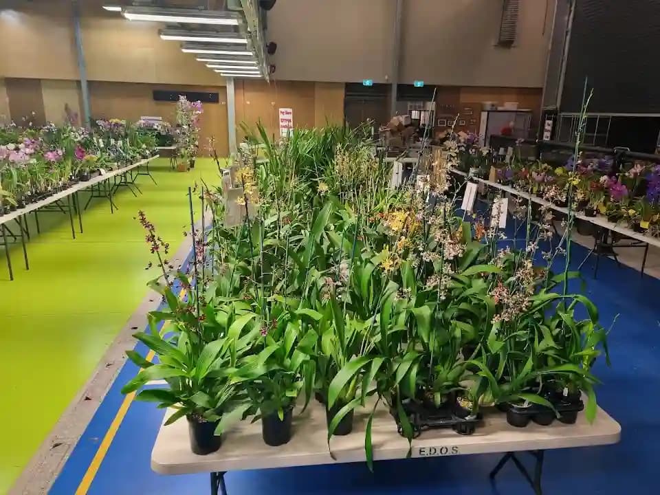 Photo of Brisbane International Shooting Centre shooting ranges activities in Brisbane