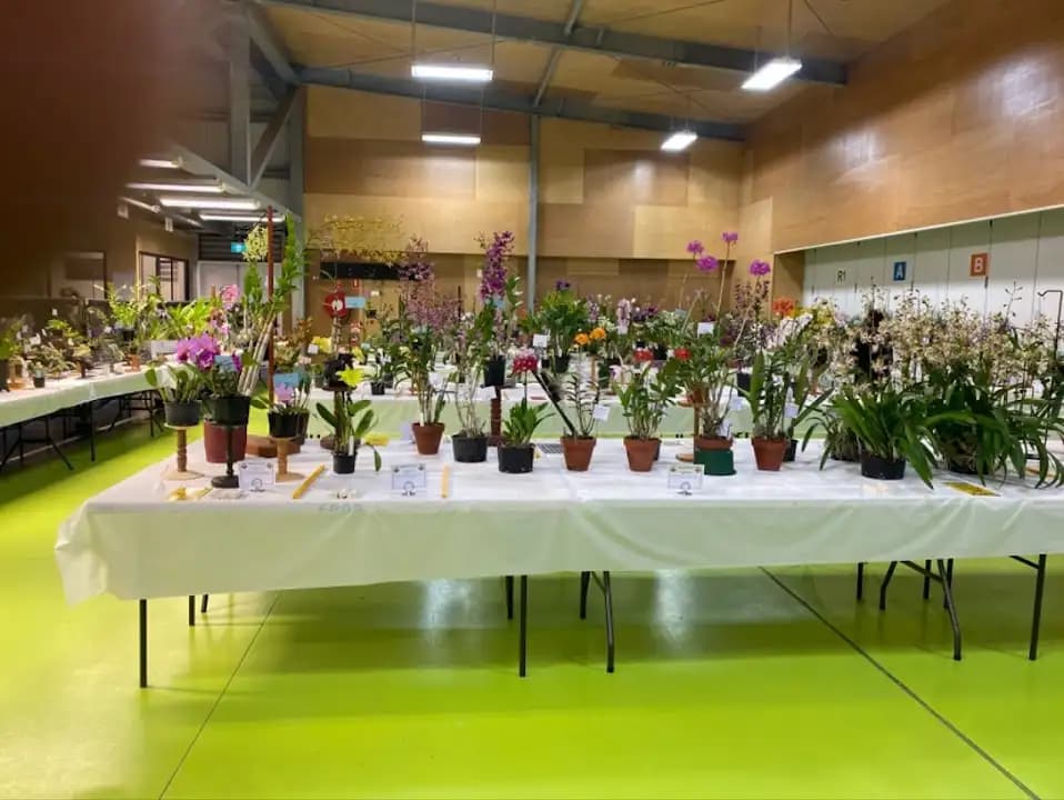 Interior view of Belmont Shooting Complex - Main Office shooting ranges facility in Brisbane