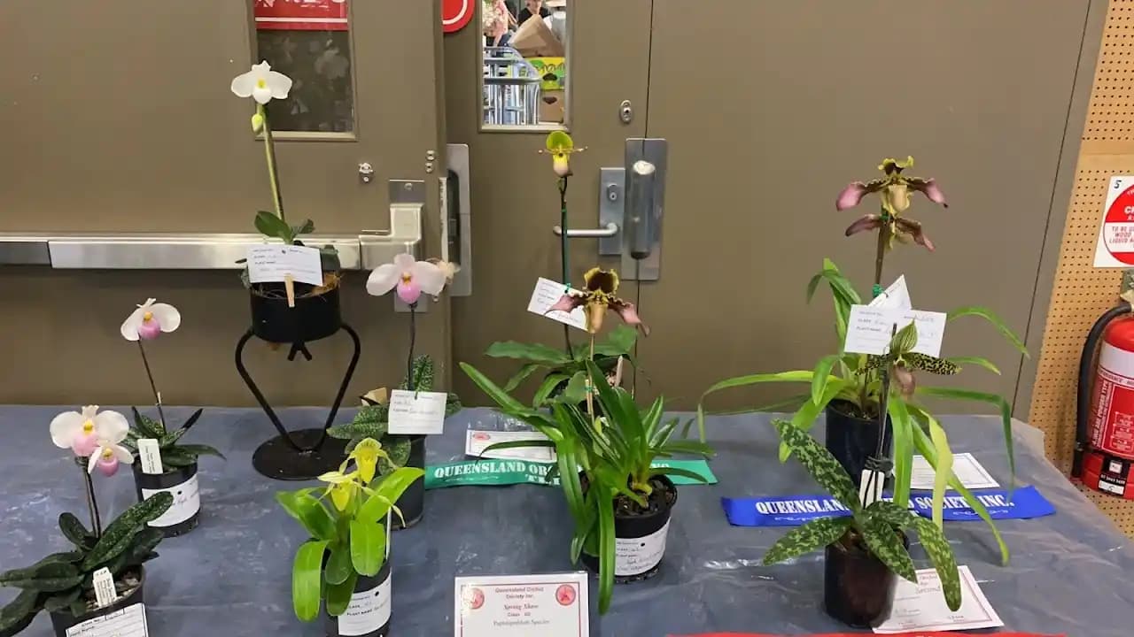 shooting ranges experience at Belmont Shooting Complex - Main Office located in Brisbane