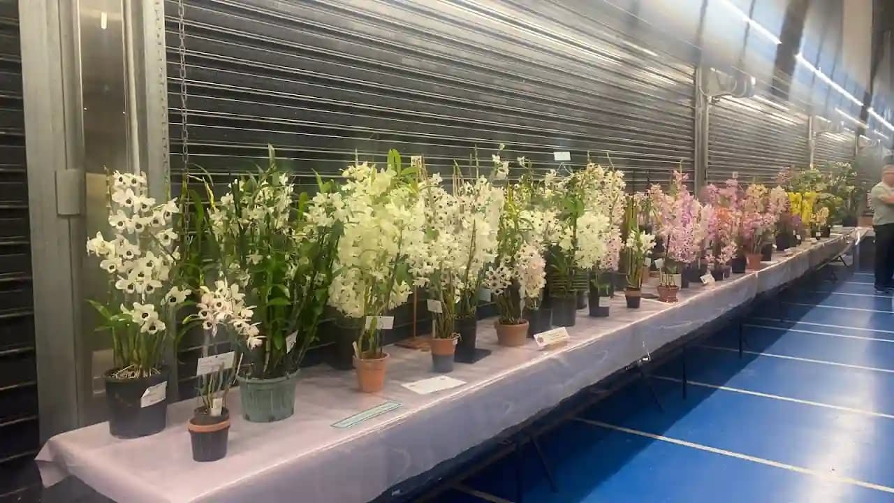 Photo of Belmont Shooting Complex - Main Office shooting ranges activities in Brisbane