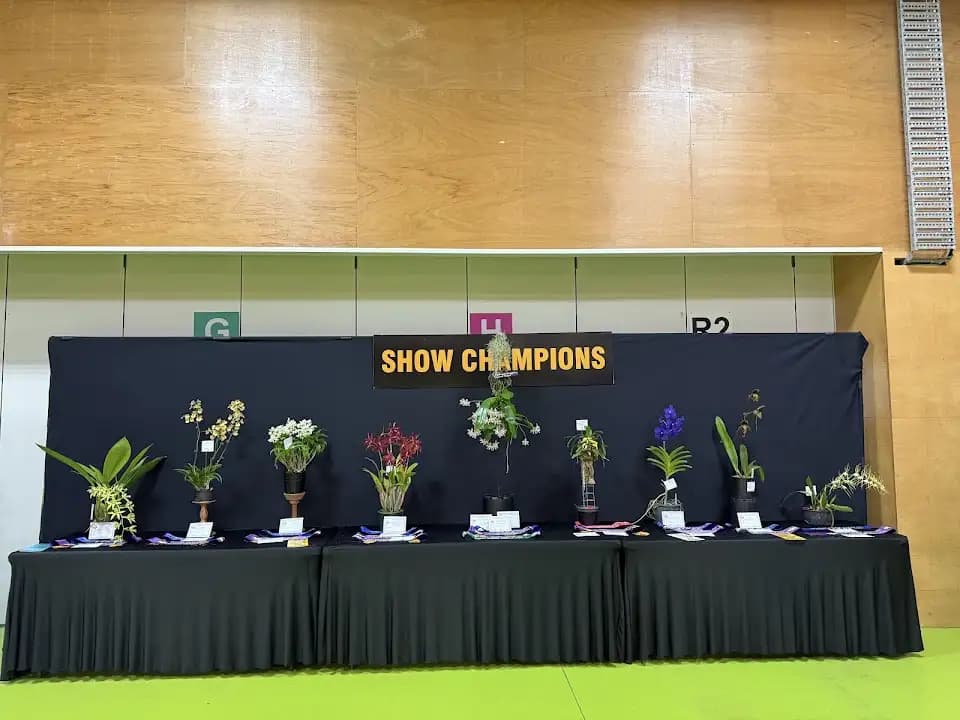 Photo of Paramount Targetsports Club shooting ranges activities in Brisbane