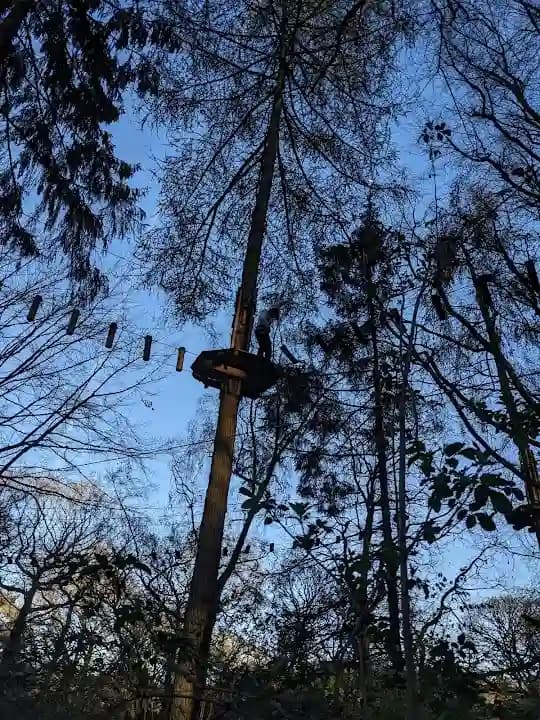 Go Ape Temple Newsam - Popular axe throwing destination in Leeds