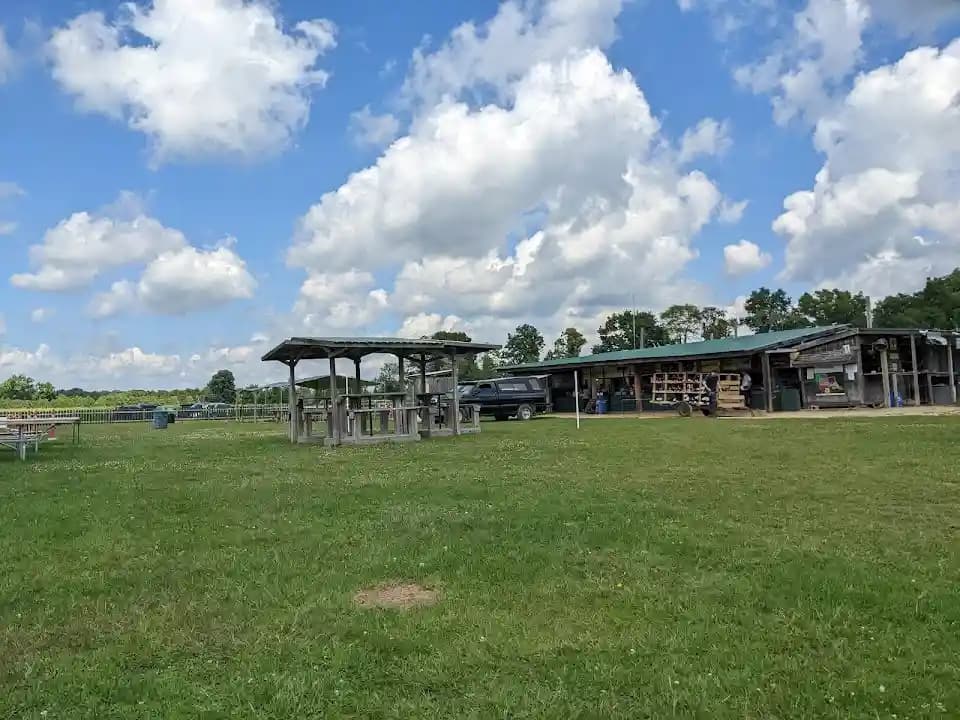 Photo of Adrenaline Paintball - paintball activities in Toronto