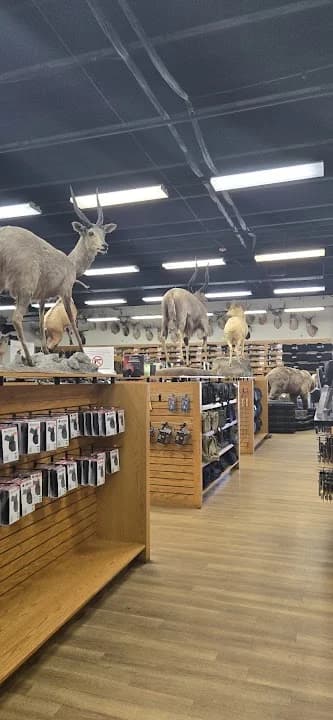 Shoot Straight Clearwater - shooting ranges in Tampa