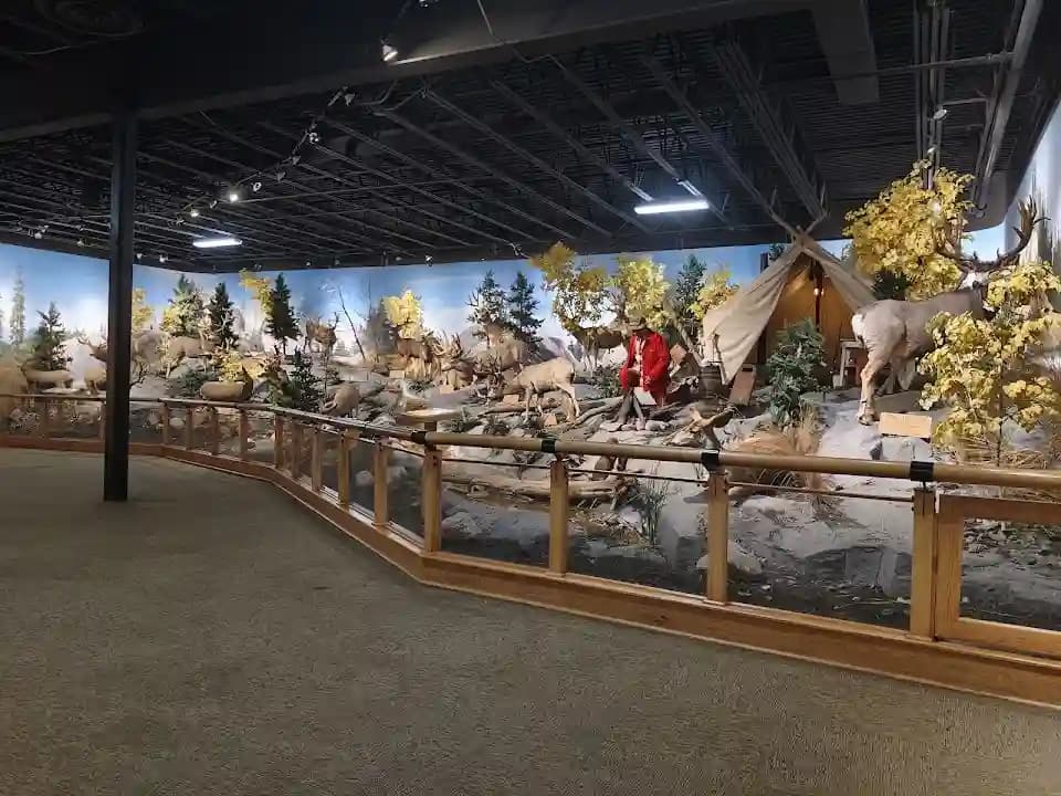 Photo of Cabela's shooting ranges activities in Austin