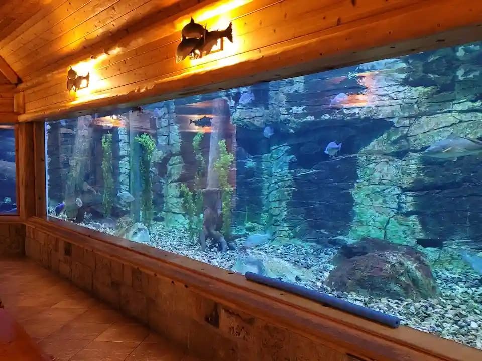 Cabela's - Popular shooting ranges destination in Austin