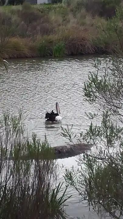 Diamond Valley Pistol Club - shooting ranges in Melbourne - Top rated