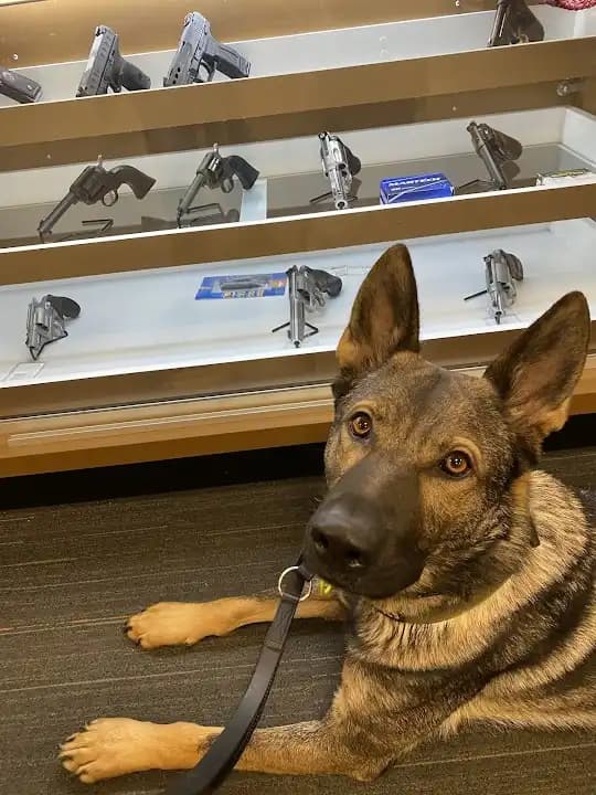 Photo of Chicagoland Firearm Training shooting ranges activities in Chicago