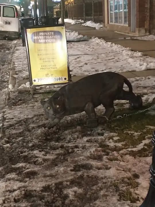 shooting ranges experience at Chicagoland Firearm Training located in Chicago