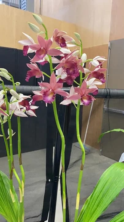 Belmont Shooting Complex - Main Office - shooting ranges in Brisbane