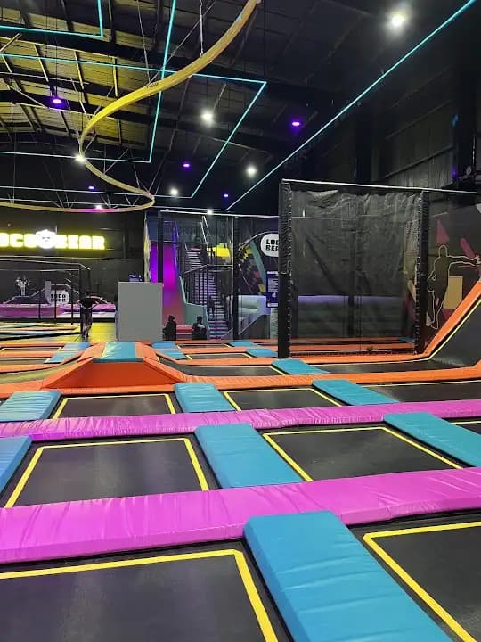 Loco Bear - The Ultimate Entertainment Hub - Popular vr games destination in Bangalore