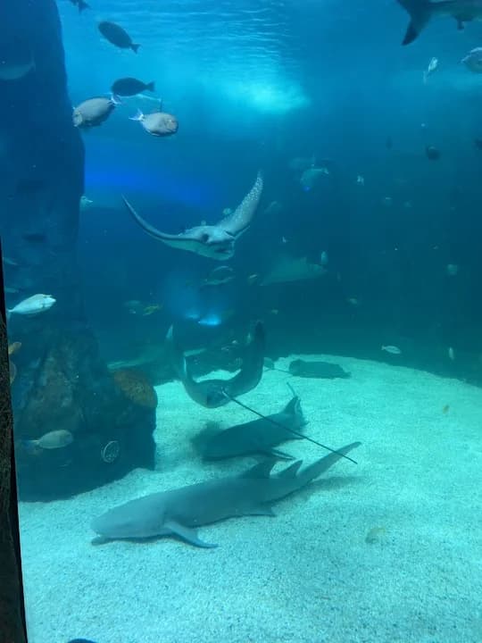 Immersive Gamebox Sydney - escape rooms in Sydney - Top rated