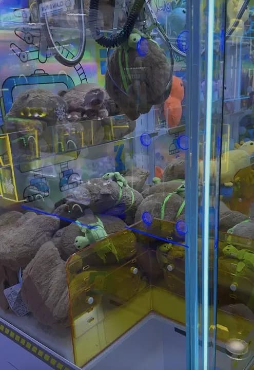 Photo of Claw & Fun Austin vr games activities in Austin